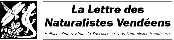 logo-lettre-NV