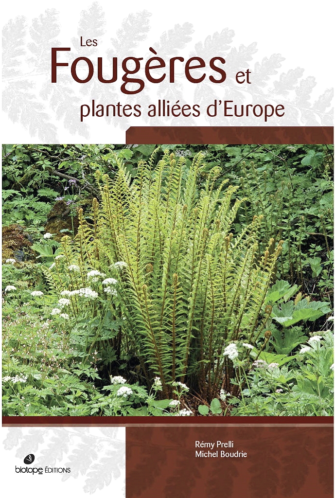 les-fougeres-et-plantes-alliees-europe
