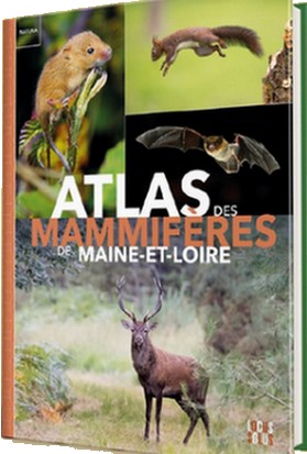 Atlas_mammiferes_49